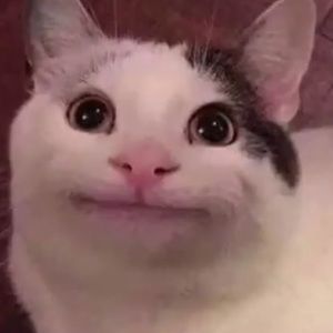 Meet your Posher, Melina